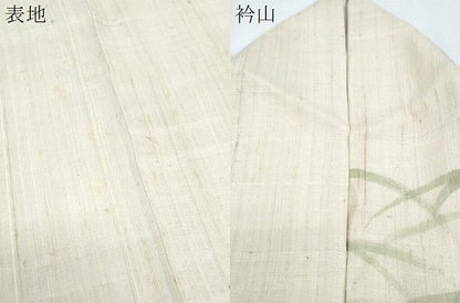 平和屋着物＊夏物　訪問着　生紬地　露芝花文　正絹　逸品　CABG8633th