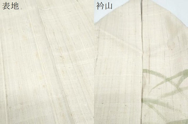 平和屋着物＊夏物　訪問着　生紬地　露芝花文　正絹　逸品　CABG8633th