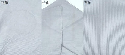 平和屋着物＊夏物　訪問着　絽　休み鳥　正絹　逸品　CABG8649th