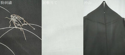 平和屋着物＊夏物　訪問着　駒刺繍　夏虫　芝草文　黒地　正絹　逸品　CABG8655th
