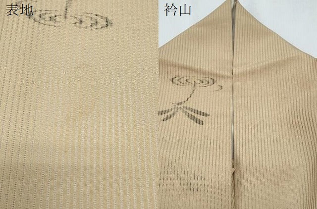 平和屋着物＊夏物　絽芭蕉　縦絽　トンボ　正絹　逸品　CABG8657th