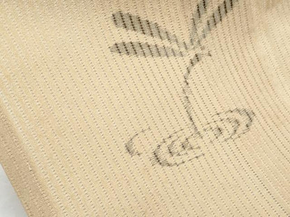平和屋着物＊夏物　絽芭蕉　縦絽　トンボ　正絹　逸品　CABG8657th