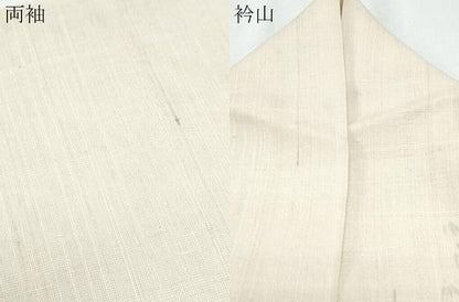 平和屋着物＊東京手描友禅 安達雅一 夏物 訪問着 生紬地 笹竹文 正絹 逸品 CABG8658th