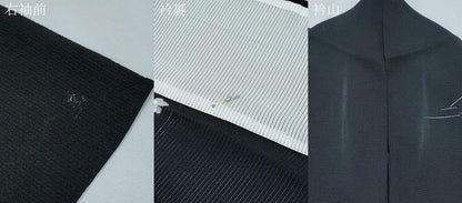 平和屋着物＊夏物　訪問着　友禅　絽　草花文　黒地　正絹　逸品　CABG8674th