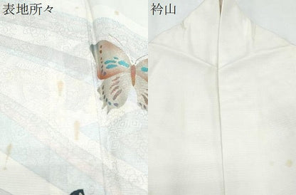 平和屋着物＊夏物　訪問着　絽　舞蝶文　金彩　正絹　逸品　CABG8682th