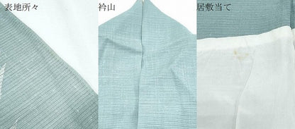 平和屋着物＊夏物　訪問着　絽紬地　流水草葉文　暈し染め　正絹　逸品　CABG8683th