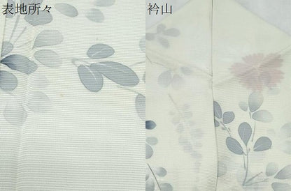 平和屋着物＊夏物　小紋　絽　草花文　正絹　逸品　CABG8687th