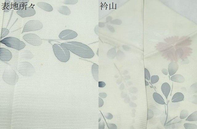 平和屋着物＊夏物　小紋　絽　草花文　正絹　逸品　CABG8687th