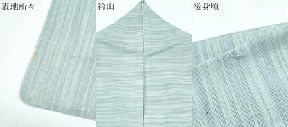 平和屋着物＊夏物　紗紬　藍　霞文　正絹　逸品　CABG8694th