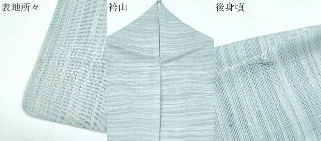 平和屋着物＊夏物　紗紬　藍　霞文　正絹　逸品　CABG8694th