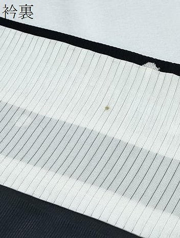 平和屋着物＊夏物　小紋　絞り　絽　あられ　黒地　正絹　逸品　CABG8699th