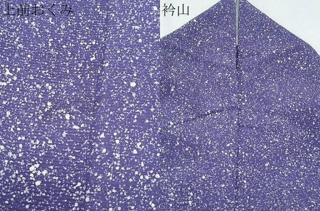 平和屋着物＊夏物　小紋　絽　霞文　たたき染め　正絹　逸品　CABG8702th