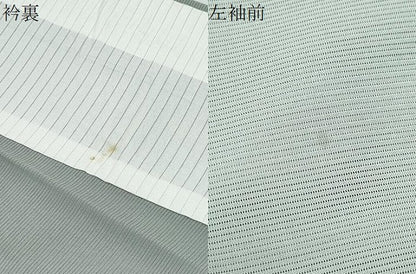 平和屋着物＊夏物　訪問着　絽　草花文　暈し染め　正絹　逸品　CABG8704th