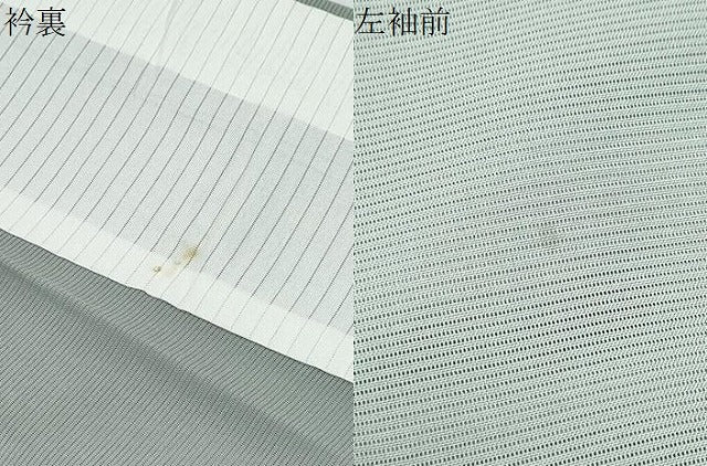 平和屋着物＊夏物　訪問着　絽　草花文　暈し染め　正絹　逸品　CABG8704th