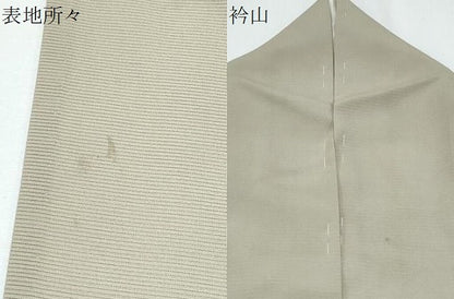 平和屋着物＊夏物　訪問着　絽　駒刺繍　流水草花文　正絹　逸品　CABG8706th