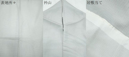 平和屋着物＊夏物　訪問着　絽　正倉院花文　金彩　正絹　逸品　CABG8707th