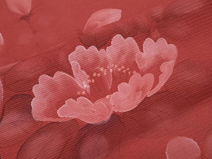 平和屋着物＊夏物　訪問着　絽　手描き　草花文　正絹　逸品　CABG8714th