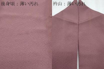 平和屋着物■訪問着　手描き　枝松文　金銀彩　正絹　逸品　CABG8725th