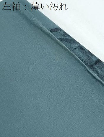 平和屋着物■長襦袢　無双仕立て　手描き　虎　洗える着物　CABG8742th