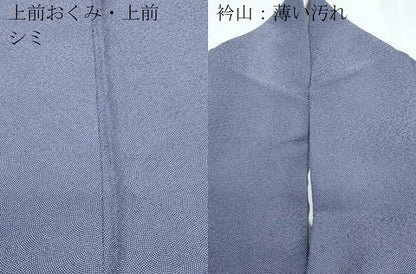 平和屋着物■伝統工芸師　服部光擴　江戸小紋　鮫小紋柄　正絹　逸品　CABG8748th