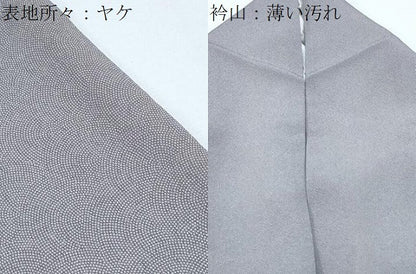 平和屋着物■訪問着　江戸小紋　道長切嵌吉祥文　鮫小紋柄　正絹　逸品　CABG8768th