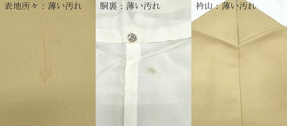 平和屋着物■訪問着　陶器花文　正絹　逸品　CABG8772th