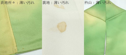 平和屋着物■訪問着　刺繍　草花文　暈し染め　正絹　逸品　CABG8776th