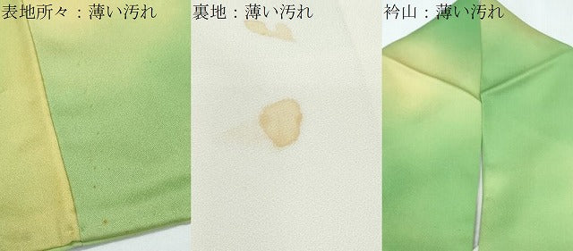 平和屋着物■訪問着　刺繍　草花文　暈し染め　正絹　逸品　CABG8776th