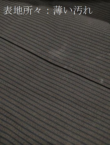平和屋着物■男性　行灯袴　縞　正絹　逸品　CABG8787th