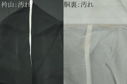 平和屋着物■豪華黒留袖　作家物　立波鴛鴦文　金銀彩　正絹　逸品　CABG9627fb