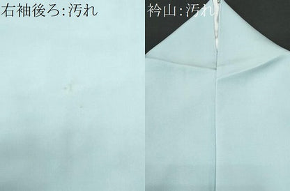 平和屋着物■豪華色留袖　寿光織　伊勢物語　金糸　正絹　逸品　CABG9670fb