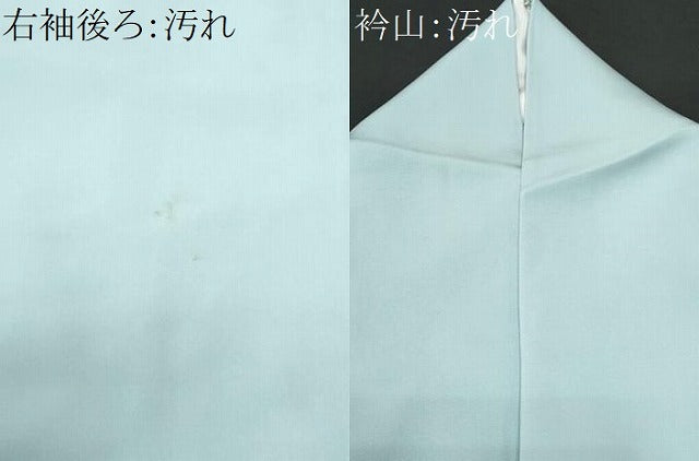 平和屋着物■豪華色留袖　寿光織　伊勢物語　金糸　正絹　逸品　CABG9670fb