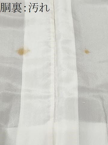 平和屋着物■訪問着　誰が袖枝花文　金彩　正絹　逸品　CABG9680fb