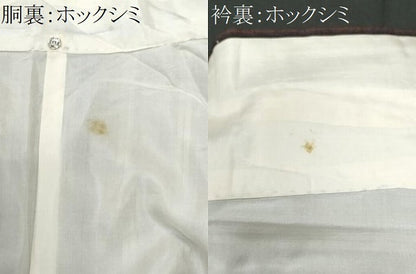 平和屋着物■上質な紬　間道　正絹　逸品　CABG9764fb