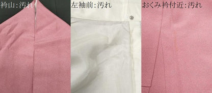平和屋着物■江戸小紋　鮫小紋柄　正絹　逸品　CABG9795fb