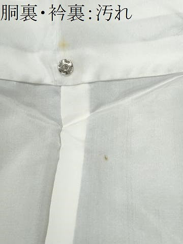 平和屋着物■上質な紬　麻の葉文様　正絹　逸品　CABG9844fb