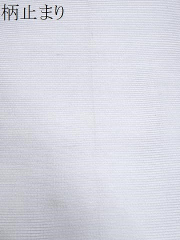 平和屋着物＊夏物 六通柄袋帯 草木文 銀糸 正絹 逸品 CABG9981fb
