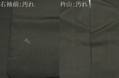 平和屋着物■豪華黒留袖 駒刺繍 飛鶴花蝶丸文 暈し染め 金彩 正絹 逸品 CABH0005ev