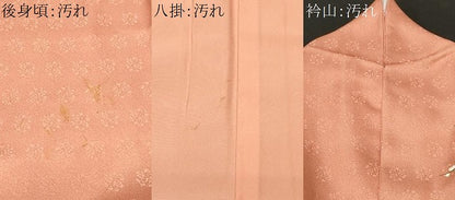 平和屋着物■訪問着　巻絵地紙枝花文　暈し染め　金彩　正絹　逸品　CABH0162ev