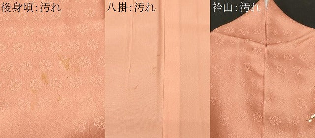 平和屋着物■訪問着　巻絵地紙枝花文　暈し染め　金彩　正絹　逸品　CABH0162ev