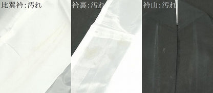 平和屋着物■黒留袖　総刺繍　松竹梅尾長鳥花文　金糸　洗える着物　CABH0221ev
