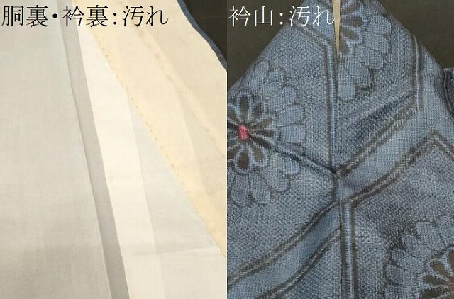 平和屋着物■本場大島紬　割り込み絣　亀甲菊文　正絹　逸品　CABH0327ev