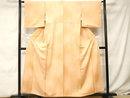 平和屋着物■上質な小紋　霞文　芝草地紋　正絹　逸品　CABH0328ev