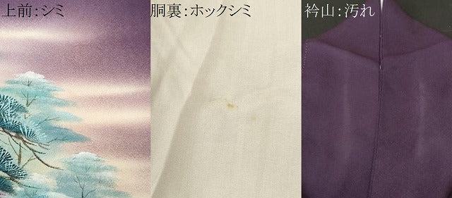 平和屋着物■訪問着　枝松樹林文　暈し染め　正絹　逸品　CABH0339ev