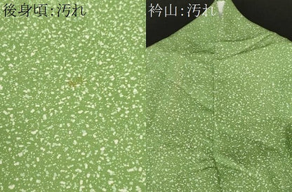 平和屋着物■上質な小紋　作家物　霰文　正絹　逸品　CABH0449ev
