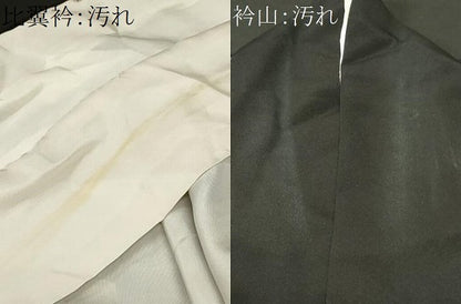 平和屋着物■豪華黒留袖　駒刺繍　檜扇風景花文　金銀彩　正絹　逸品　CABH0506ev