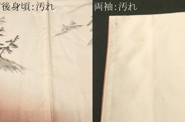 平和屋着物■訪問着　紬地　遠山風景文　正絹　逸品　CABH0550ev