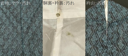 平和屋着物■上質な紬　立涌文　正絹　逸品　CABH0600ev