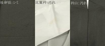 平和屋着物■豪華黒留袖　扇面雪輪鳳凰花文　金彩　正絹　逸品　CABH0655ev