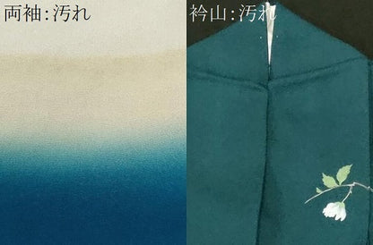 平和屋着物■訪問着　人物風景文　暈し染め　金彩　正絹　逸品　CABH0719ev
